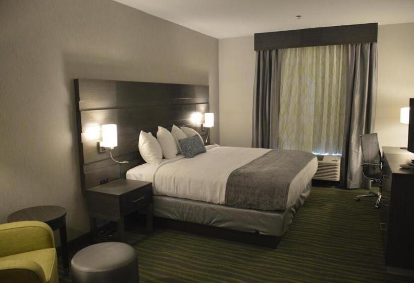 스탠다드 룸 킹사이즈 침대, Best Western Plus Prien Lake Hotel & Suites   Lake Charles