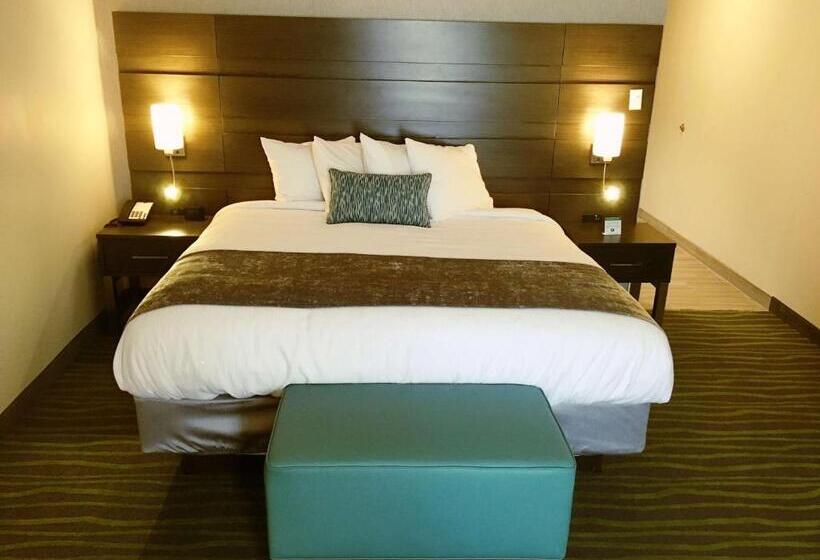 Номер Deluxe Кровать Кинг, Best Western Plus Prien Lake Hotel & Suites   Lake Charles