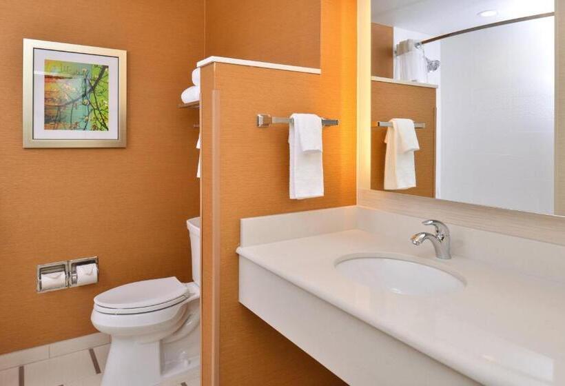 Номер Стандарт, Fairfield Inn & Suites By Marriott Sacramento Airport Woodland