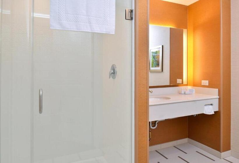 Люкс Кровать Кинг, Fairfield Inn & Suites By Marriott Sacramento Airport Woodland