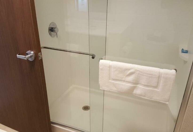 Номер Стандарт, Holiday Inn Express & Suites Oswego, An Ihg