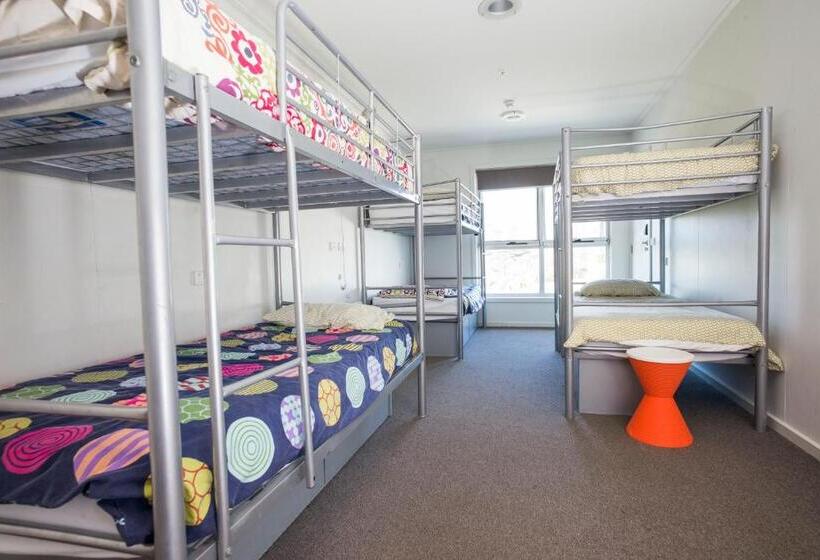 Кровать в Общей Комнате, The Island Accommodation