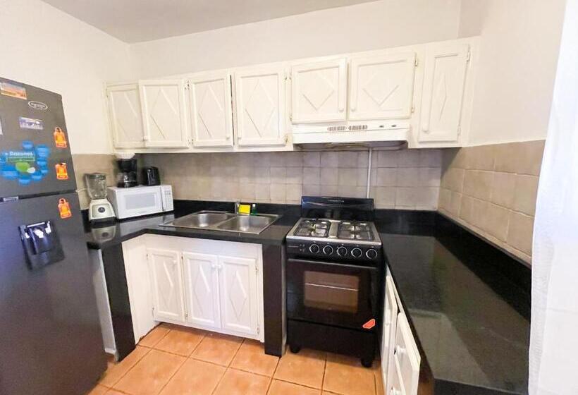 ویلای 1 خوابه با چشم‌انداز باغ, Oceanfront & Garden View Villas Hotel Wifi Bbq Parking Los Corales Beach Club & Spa