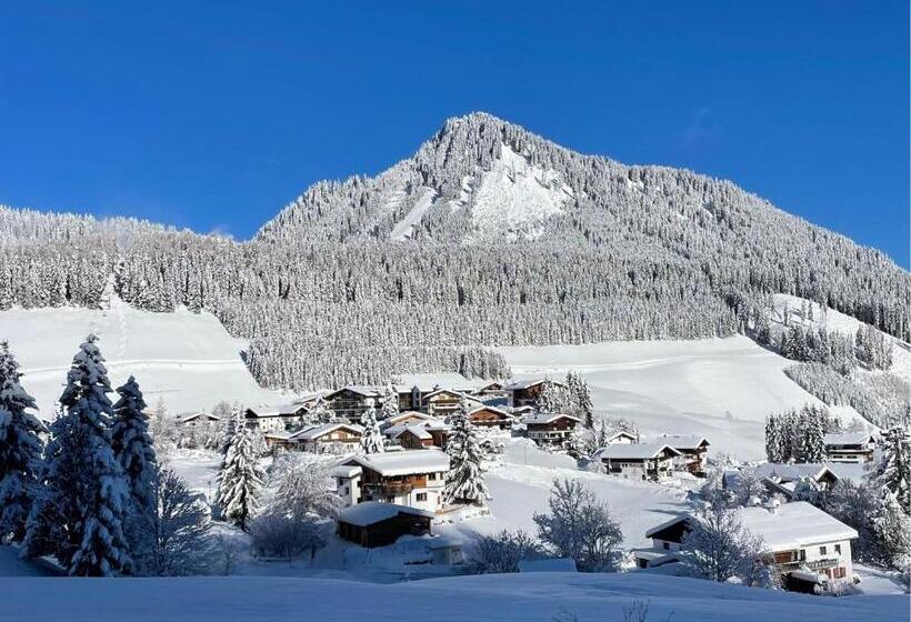 Апартаменты 1 Спальня с Видом, Aparthotels Berwang / Haus Wiesengrund