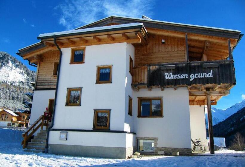 Апартаменты 1 Спальня с Видом, Aparthotels Berwang / Haus Wiesengrund