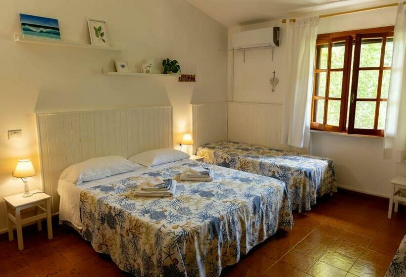 스탠다드 룸, B&b Cavalieri