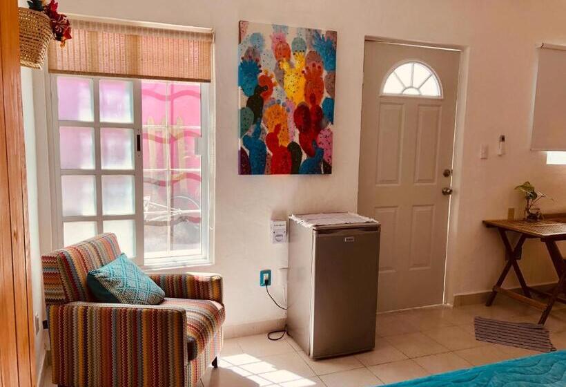 استودیو استاندارد با تخت کینگ, Casa Alberto Cozumel