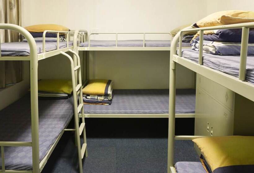 تختخواب در اتاق مشترک, Greendili Backpackers Hostel