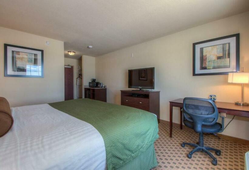 장애인을 위한 킹사이즈 침대 스탠다드 룸, Cobblestone Inn & Suites  Wray