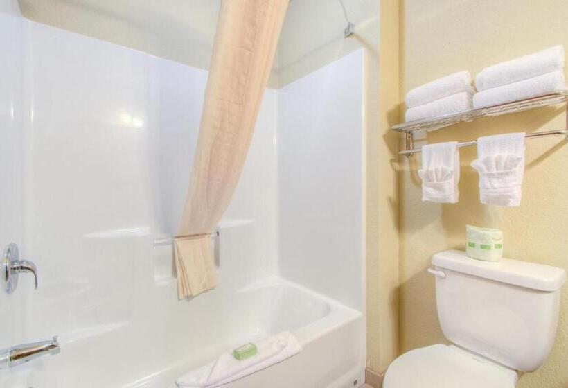 스탠다드 룸 킹사이즈 침대, Cobblestone Inn & Suites  Wray