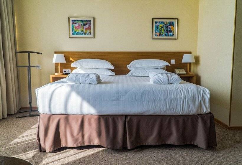 اتاق سوپریور, City Hotel Bishkek