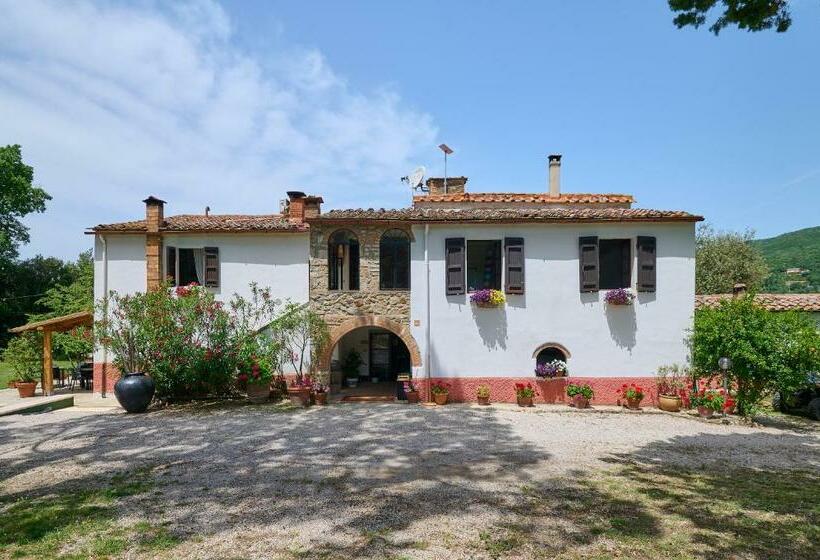 Апартаменты 1 Спальня, Podere Scoldasu   Apollo