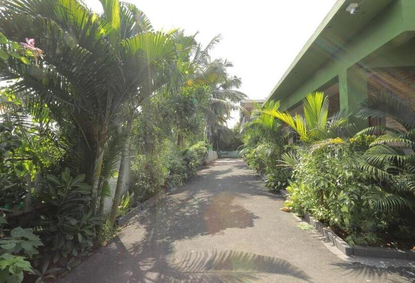 Номер Стандарт, Nasya S Beach Side Cottages