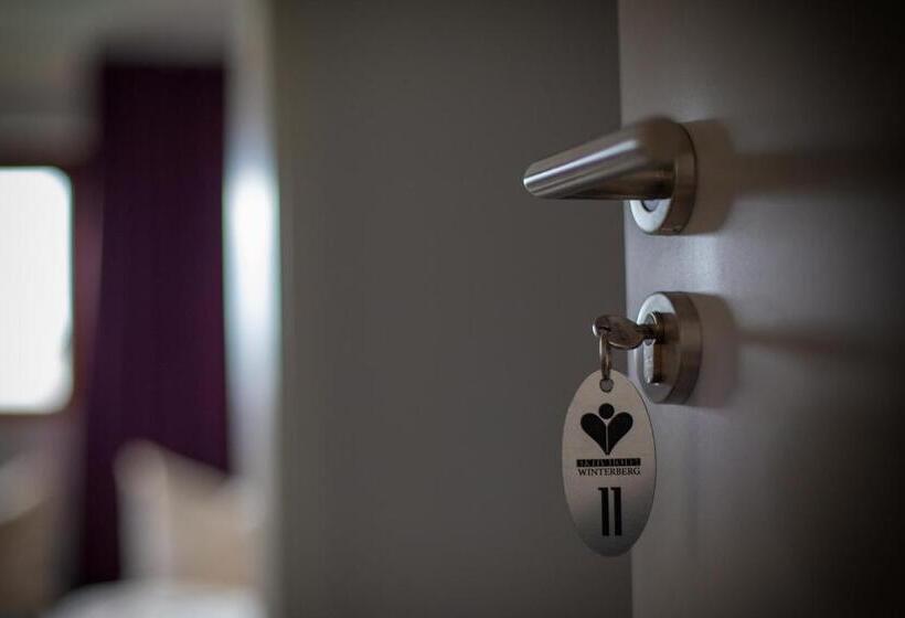 דירת חדר, Aktiv Hotel Winterberg