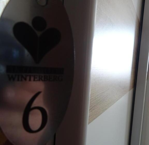 חדר סטנדרט, Aktiv Hotel Winterberg