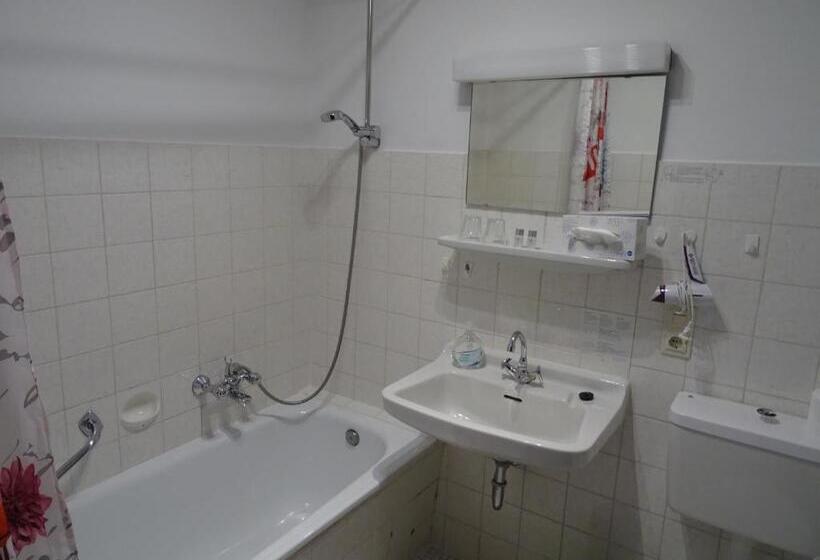 חדר סטנדרט, Aktiv Hotel Winterberg