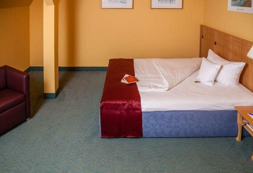 Номер Superior Одноместный, Spa Hotel Amsee