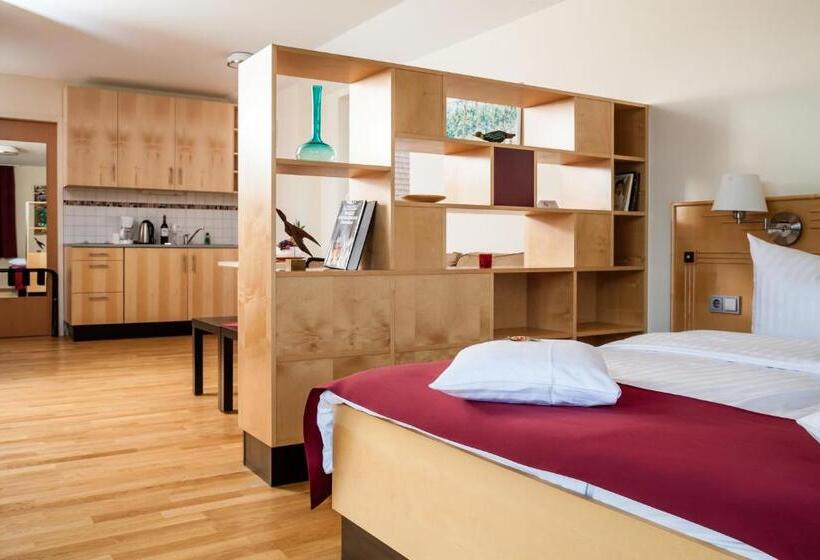 Номер Стандарт с Террасой, Spa Hotel Amsee