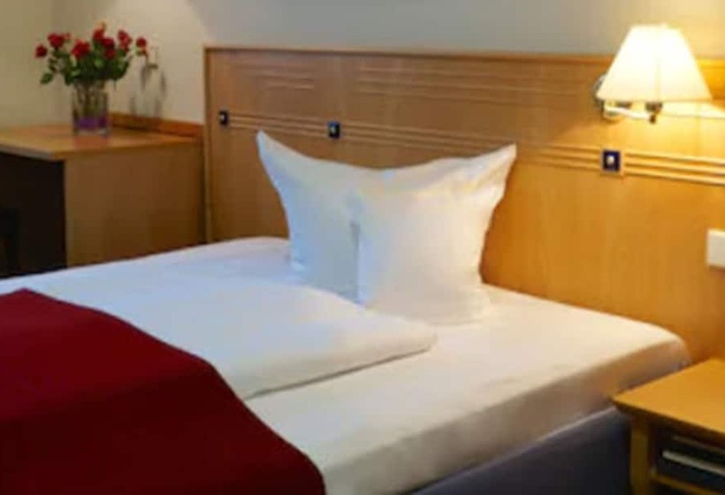 Номер Superior Одноместный, Spa Hotel Amsee