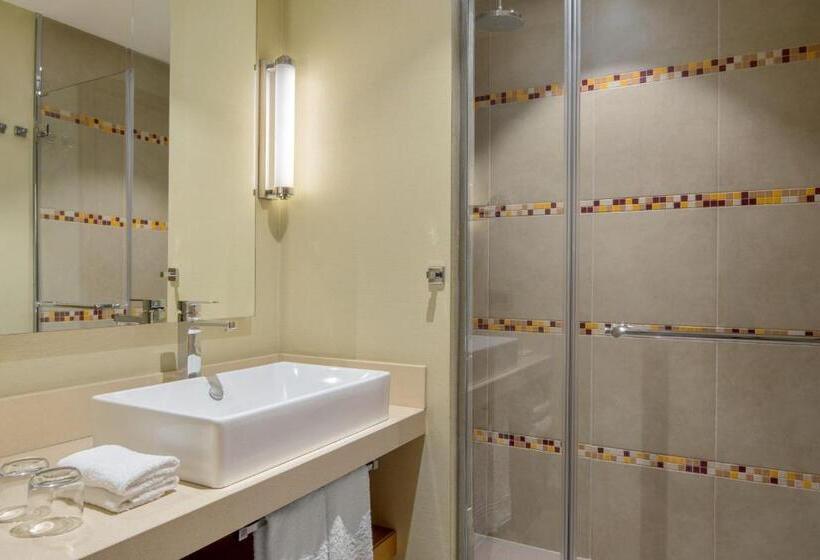 اتاق دلوکس با تخت کینگ و چشم‌انداز شهر, Four Points By Sheraton Ikot Ekpene