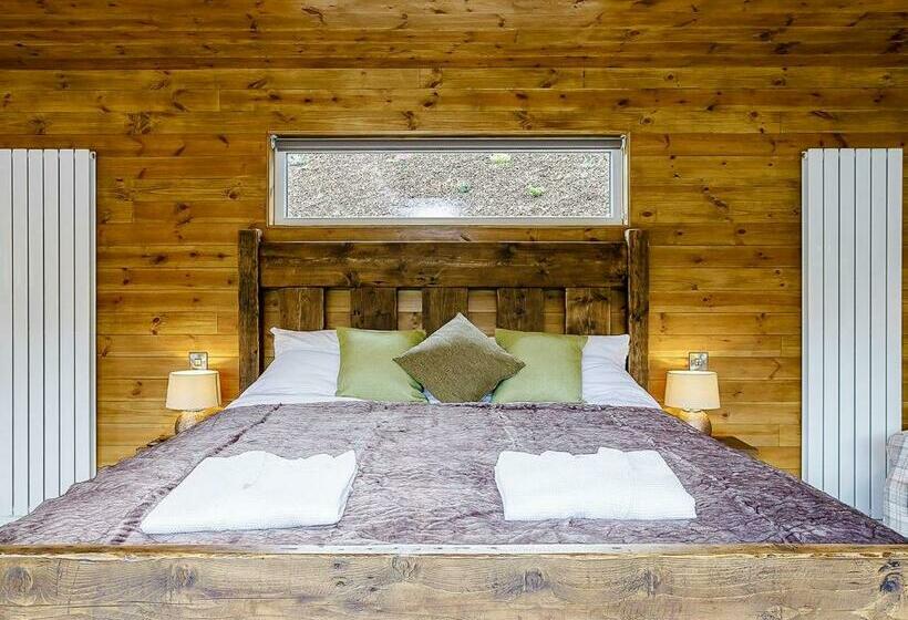 Дом 1 Спальня, Nantycoed Lodges