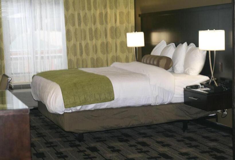 Номер Стандарт Кровать Кинг Адаптированный для Инвалидов, Best Western Premier University Inn