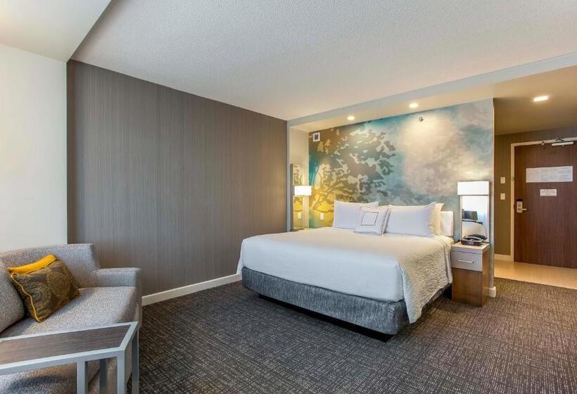キングサイズベッドのスタンダードルーム, Courtyard By Marriott Montreal West Island/baie D’urfe