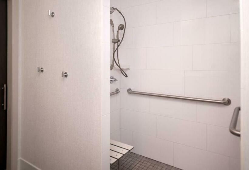 اتاق استاندارد با تخت بزرگ برای معلولان, Hampton Inn & Suites Olympia Lacey