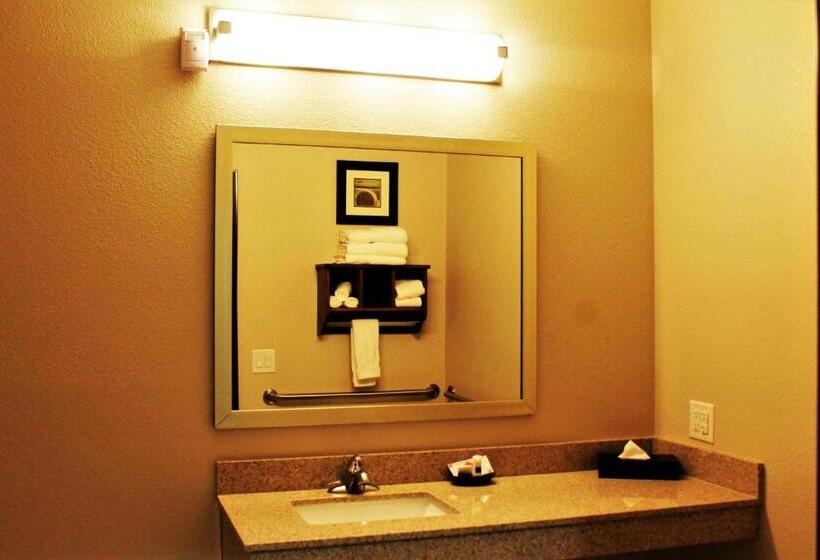 Люкс Адаптированный для Инвалидов, Best Western Plus Denver City Hotel & Suites