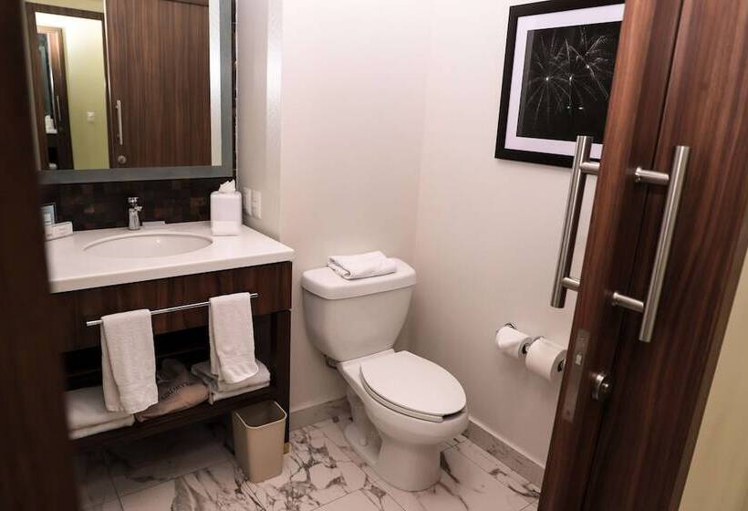 Номер Стандарт, Hampton Inn By Hilton Irapuato