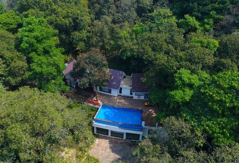 Люкс Премиум, The Ibnii   Eco Luxury Resort