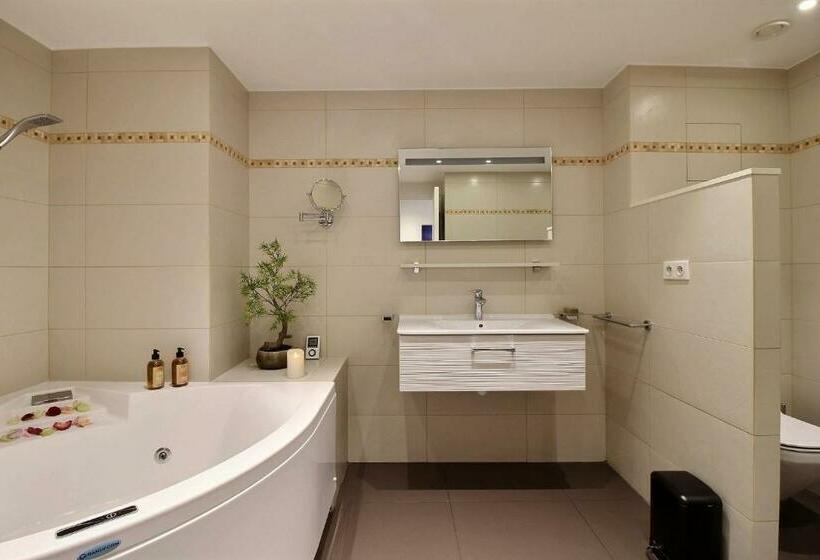 اتاق استاندارد با وان آب گرم, Assia & Nathalie   Luxury B&b Marais