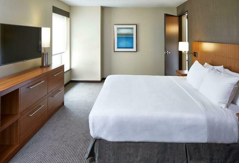 سوئیت با تخت بزرگ, Hyatt Place Lansing East