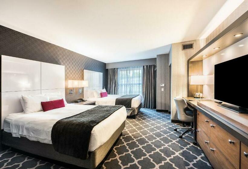 标准间, The Guest House At Graceland