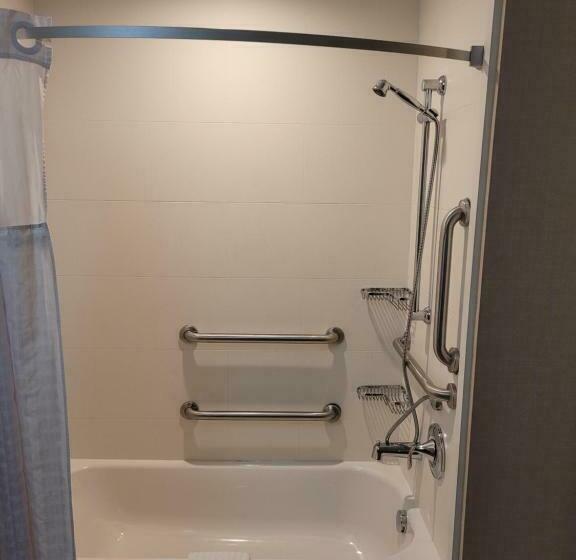 适合残疾人士使用的套间, Comfort Suites Kanab National Park Area