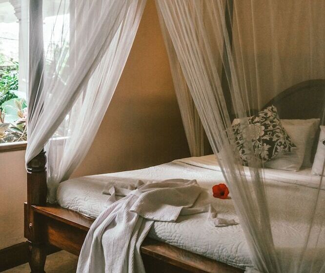 Семейный Номер, Honeymoon Guesthouse