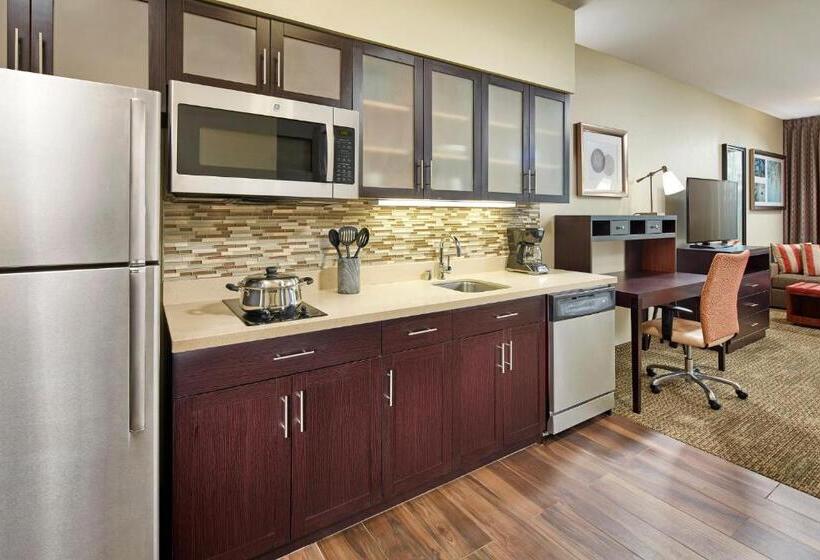 标准工作室, Staybridge Suites Anaheim At The Park, An Ihg