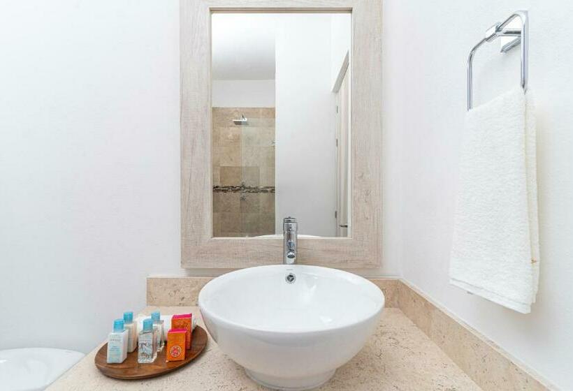 带1个卧室带花园景观的公寓, Krystal Grand Residences & Villas San Miguel de Allende