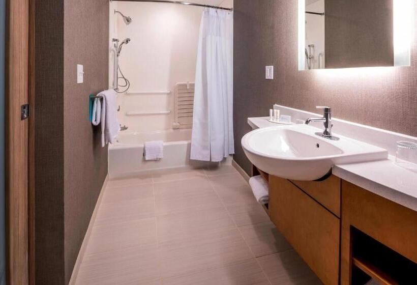 高级工作室, Springhill Suites By Marriott Fishkill