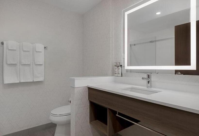 适用于残疾人士的豪华房间, Holiday Inn Express & Suites St Thomas