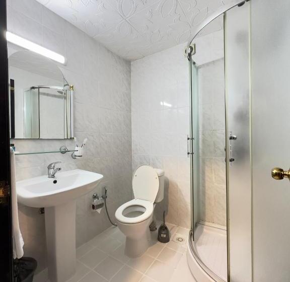 Номер Deluxe, Rosemary Inn