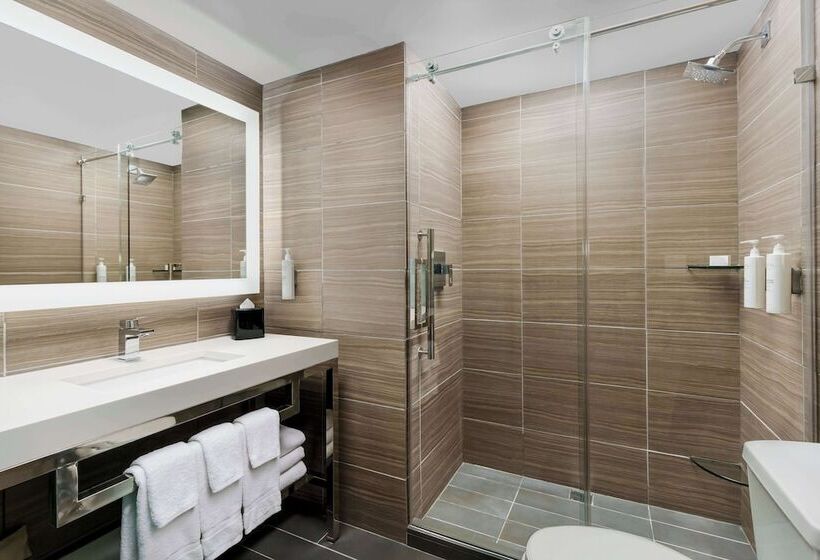 اتاق استاندارد با تخت دوبل, Hilton Garden Inn New York Times Square North