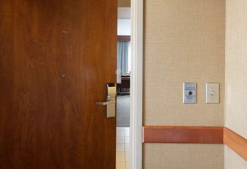 اتاق استاندارد با تخت بزرگ, Hilton Garden Inn New York Times Square North