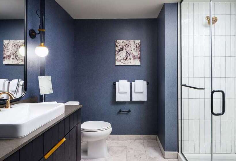 اتاق استاندارد با تخت بزرگ, Hilton Garden Inn New York Times Square North