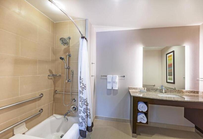 带大床的标准工作室, Residence Inn By Marriott Austin Northwest/the Domain Area