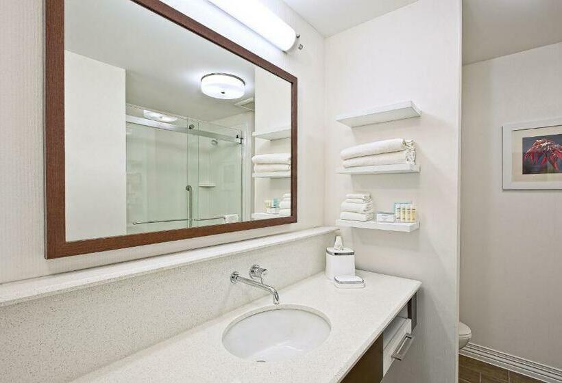 스탠다드 스튜디오 킹침대, Hampton Inn By Hilton West Bloomfield Novi