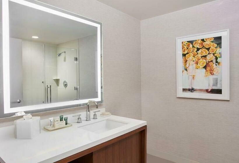 Номер Deluxe Вид на Бассейн, Hilton West Palm Beach