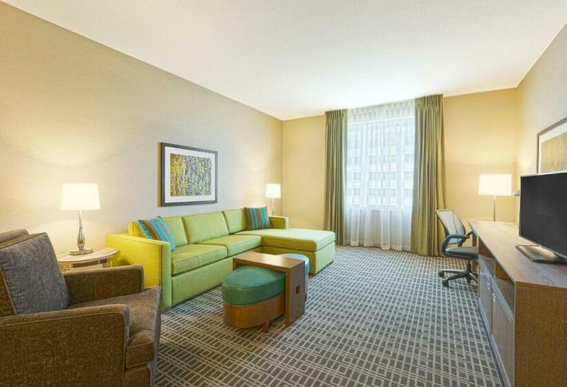 带大床的套房, Homewood Suites Houston Downtown