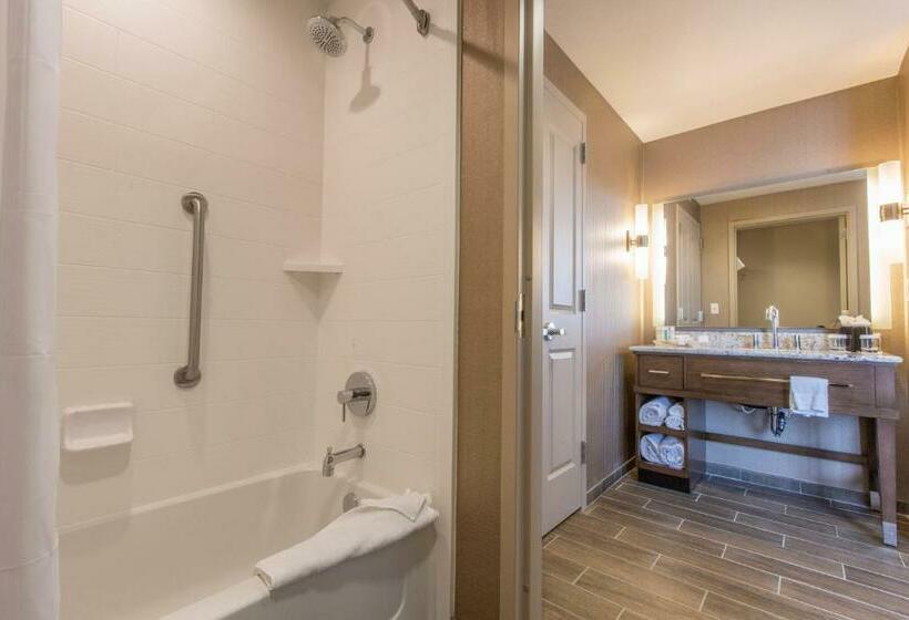套房, Homewood Suites Houston Downtown