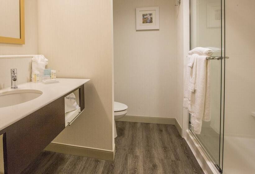 适合残疾人士使用的套间, Homewood Suites Houston Downtown